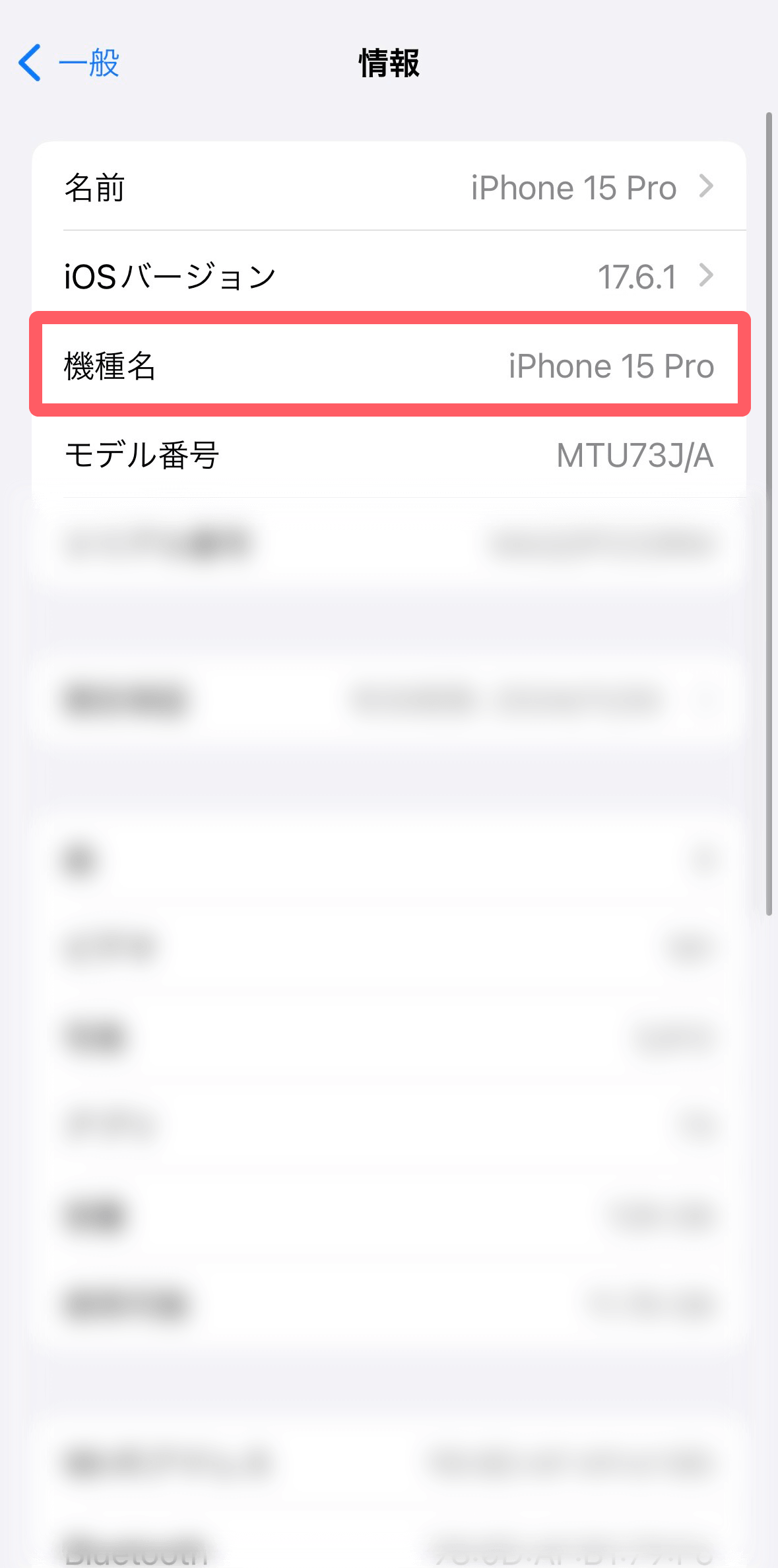 モデル確認 step4