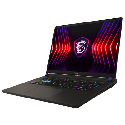 MSI Vector 17 HX A13V Vector-17-HX-A13VHG-4014JP [17型 Core i9 13980HX 32GB 1TB RTX4080 2024年]