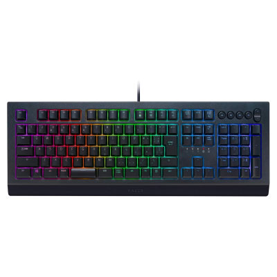 RAZER Cynosa V2 JP [日本語配列/有線/USB]