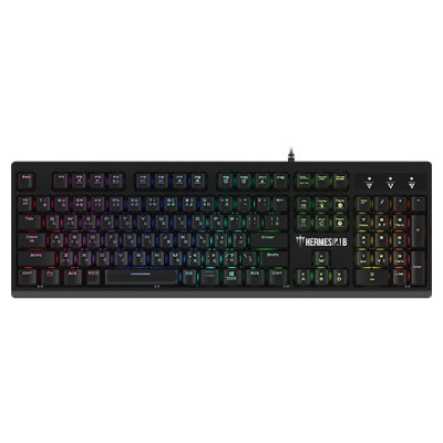 GAMDIAS HERMES P1B SILVER RGB JP [日本語配列/有線/USB]