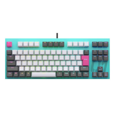 Topre REALFORCE x HATSUNE MIKU GX1 Keyboard X1UCM1 [日本語配列/有線/USB]